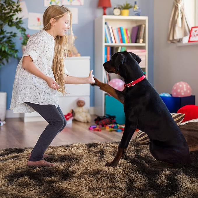 YOBATH Shag Area Rugs for Living Room Bedroom - Fluffy Rugs 6x9 Coffee Rug, Shaggy Rug for Girls Boys Living Room Rugs, Fuzzy Carpet for Nursery Dorm - LeafyLoom