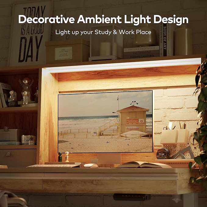 FEZIBO 55 x 27.5 Inches Electric Standing Desk with Open Shelf&LED Strip, Adjustable Height Sit Stand Up Desks with 3 Drawers, Ergonomic Workstation, Light Rustic（2 packages - LeafyLoom