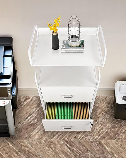 Vertical File Cabinet, 2 Drawer Mobile Filing Cabinet with 1 Bookshelf, Printer Stand with Open Storage Shelves Fits A4/Letter/Legal Size File Cabinets for Home Office Organizer, White - LeafyLoom