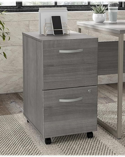 Bush Business Furniture HYF116PGSU-Z Hybrid 2-Drawer Mobile File Cabinet, Letter/Legal, Platinum Gray, 20-Inch, - LeafyLoom