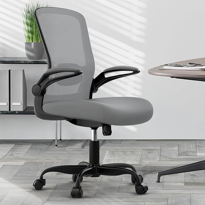 Office Chair, Ergonomic Desk Chair with Adjustable Lumbar Support, High Back Mesh Computer Chair with Flip-up Armrests-BIFMA Passed Task Chairs, Executive Chair for Home Office - LeafyLoom