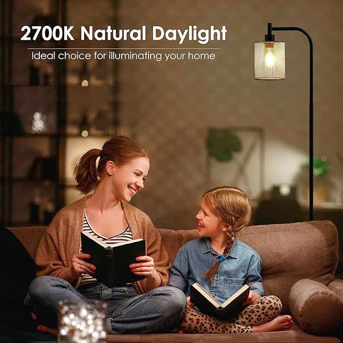 BoostArea Industrial Floor Lamp, Standing Lamp with Hanging Iron Mesh Lamp Shade, 6W LED Bulb, Whole Metal Farmhouse Floor Lamp with Foot Switch, Rustic Floor Lamps for Living Room Bedroom, Black - LeafyLoom