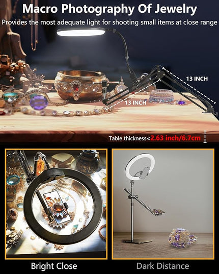 Zoom Lighting for Computer Video Conference, 10 Inch Ring Light with Stand for Video Recording, Working, Learning, Zoom Call, Webcam Laptop Light with Phone Holder for Podcast Live Streaming - LeafyLoom