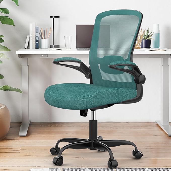 Office Chair, Ergonomic Desk Chair with Adjustable Lumbar Support, High Back Mesh Computer Chair with Flip-up Armrests-BIFMA Passed Task Chairs, Executive Chair for Home Office - LeafyLoom