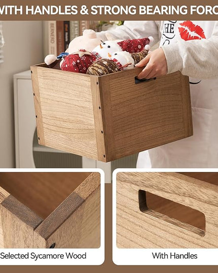 KIRIGEN Modular Open Storage Cube F26-DBR - LeafyLoom