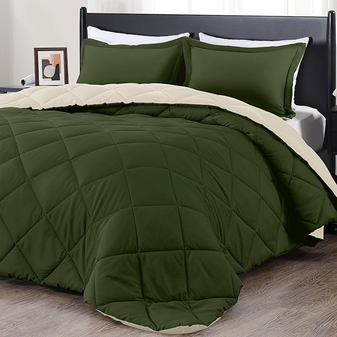 downluxe Queen Comforter Set, Lightweight Solid Down Alternative Reversible, 3-Piece Queen Size Comforter Set with 2 Reversible Pillow Shams (Lichen Green/White) - LeafyLoom