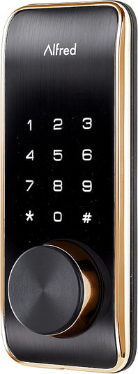 Alfred Touchscreen Keypad Pin + Key Entry Smart Door Lock Combo with Wi-Fi Connect Bridge & Key (DB2W-B-GL) ALFRED