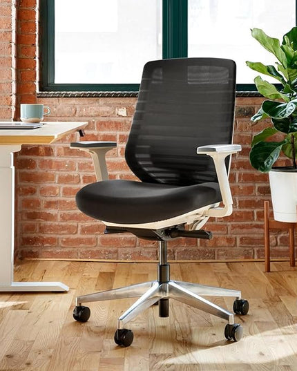Branch Ergonomic Chair - A Versatile Desk Chair with Adjustable Lumbar Support, Breathable Mesh Backrest, and Smooth Wheels - Experience Optimal Comfort and Support - Black - LeafyLoom