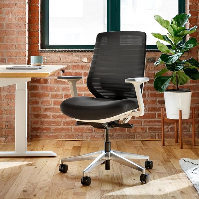 Branch Ergonomic Chair - A Versatile Desk Chair with Adjustable Lumbar Support, Breathable Mesh Backrest, and Smooth Wheels - Experience Optimal Comfort and Support - Black - LeafyLoom