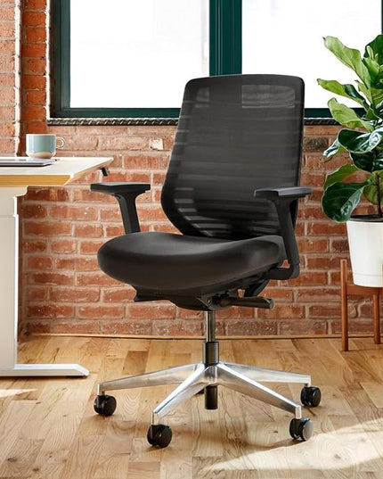 Branch Ergonomic Chair - A Versatile Desk Chair with Adjustable Lumbar Support, Breathable Mesh Backrest, and Smooth Wheels - Experience Optimal Comfort and Support - All Black - LeafyLoom