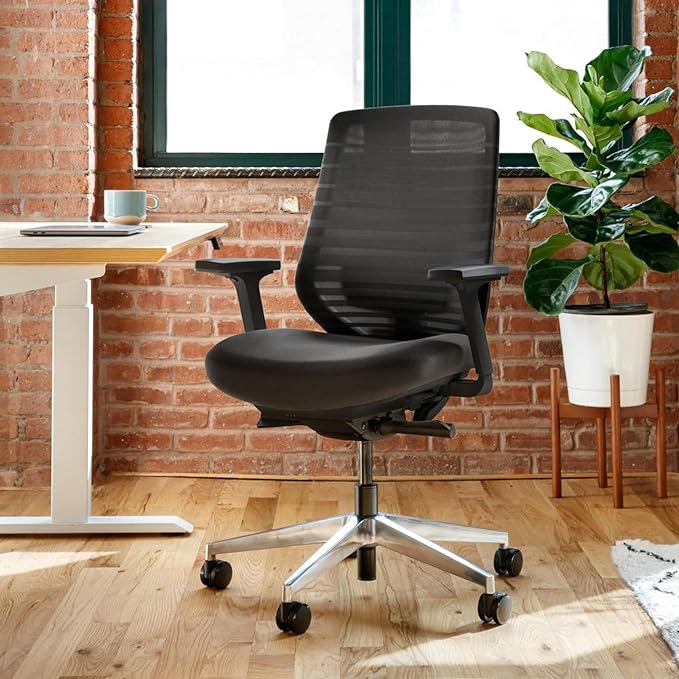 Branch Ergonomic Chair - A Versatile Desk Chair with Adjustable Lumbar Support, Breathable Mesh Backrest, and Smooth Wheels - Experience Optimal Comfort and Support - All Black - LeafyLoom