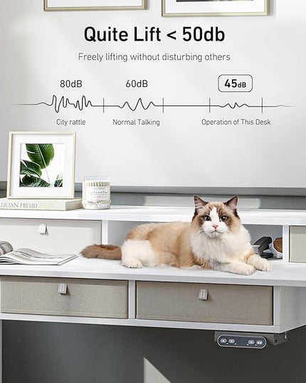 FEZIBO Sturdy Height Adjustable Electric Standing Desk with Drawers, 48 x 24 Inch Stand Up Table with Large Storage Shelf, Sit Stand Desk, White Top - LeafyLoom