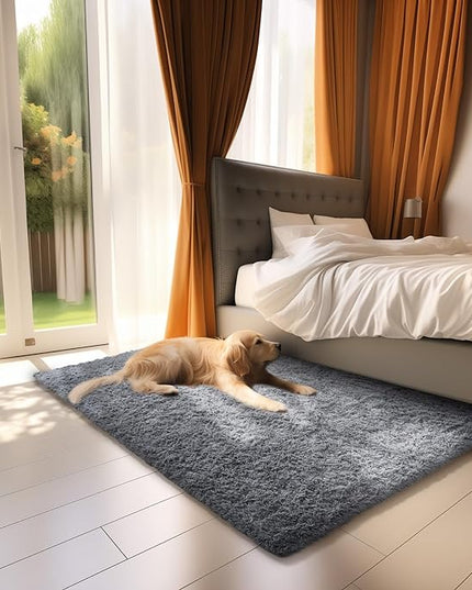 Ophanie Small Area Rug, 2x3 Machine Washable Throw Grey Cheap Fluffy Shaggy Soft Bedside Rug, Indoor Floor Gray Carpet for Kids Baby Boys Teen Dorm Room Doorway, Nursery,Home Decor Aesthetic - LeafyLoom