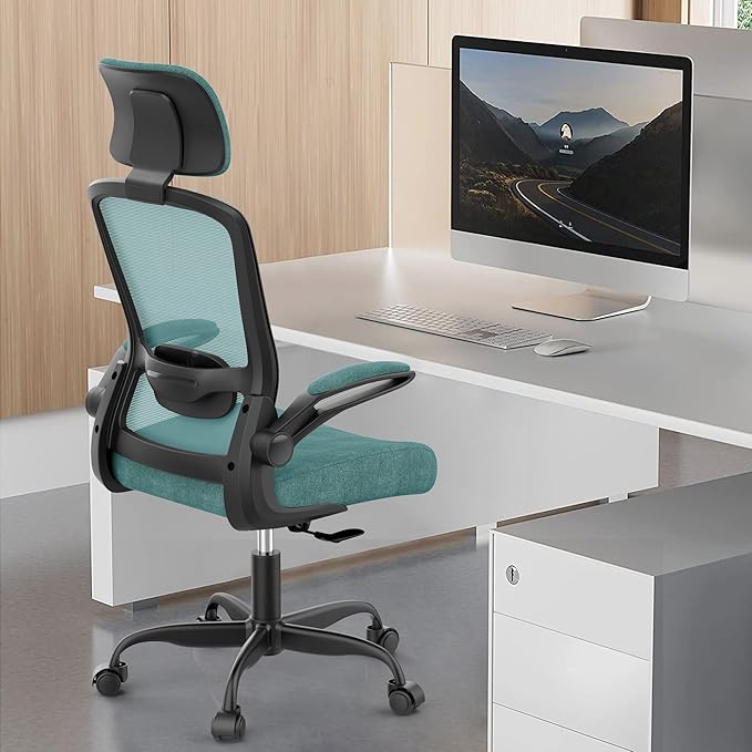 Office Chair, Ergonomic Desk Chair with Adjustable Lumbar Support, High Back Mesh Computer Chair with Flip-up Armrests-BIFMA Passed Task Chairs, Executive Chair for Home Office - LeafyLoom