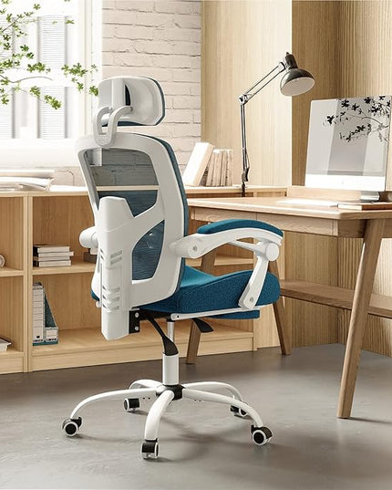 edx Ergonomic Office Chair, Reclining High Back Mesh Chair, Computer Desk Chair, Swivel Rolling Home Task Chair with Lumbar Support Pillow, Adjustable Headrest, Retractable Footrest and Armrests - LeafyLoom
