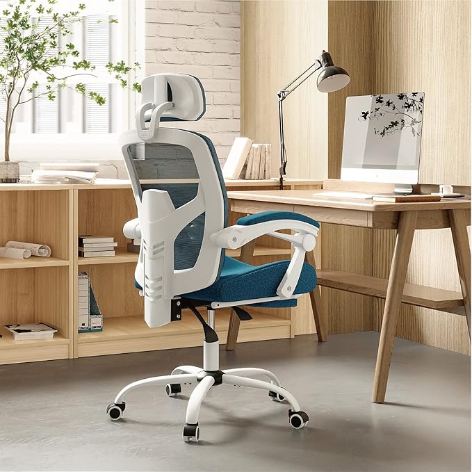 edx Ergonomic Office Chair, Reclining High Back Mesh Chair, Computer Desk Chair, Swivel Rolling Home Task Chair with Lumbar Support Pillow, Adjustable Headrest, Retractable Footrest and Armrests - LeafyLoom