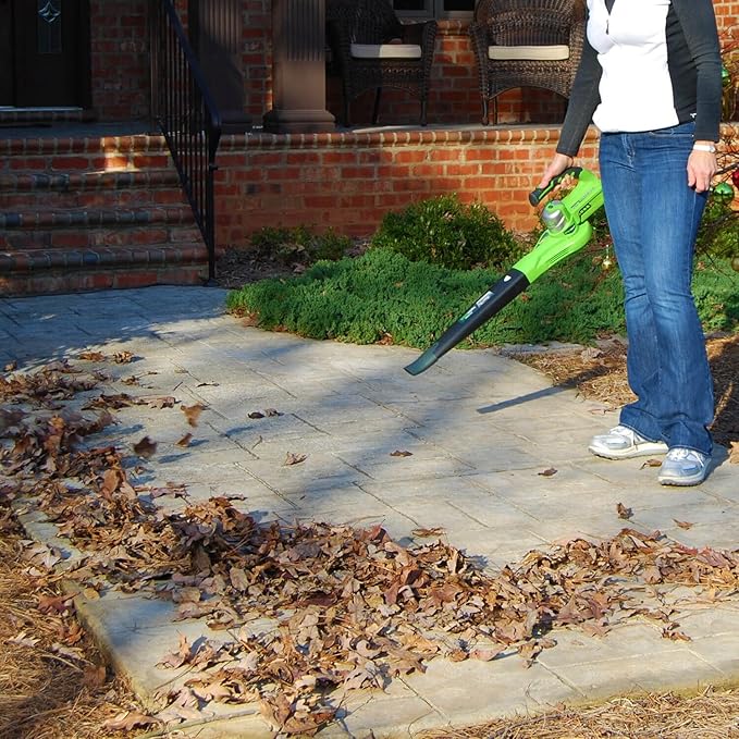 Greenworks 24V Sweeper, 2.0Ah Battery and Charger Included - LeafyLoom
