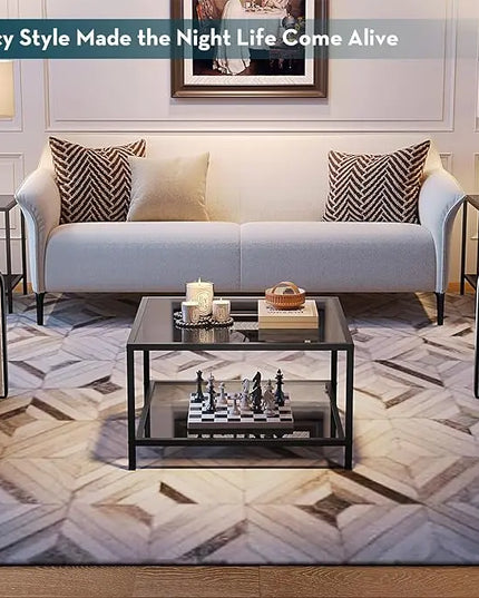 SAYGOER Modern Coffee Table Small Glass Coffee Table with Storage 2-Tier Simple Square Center Table for Living Room Home Office Sofa Table with Metal Frame 26.7 x 26.7 x 15.7 Inches, Gray Black - LeafyLoom