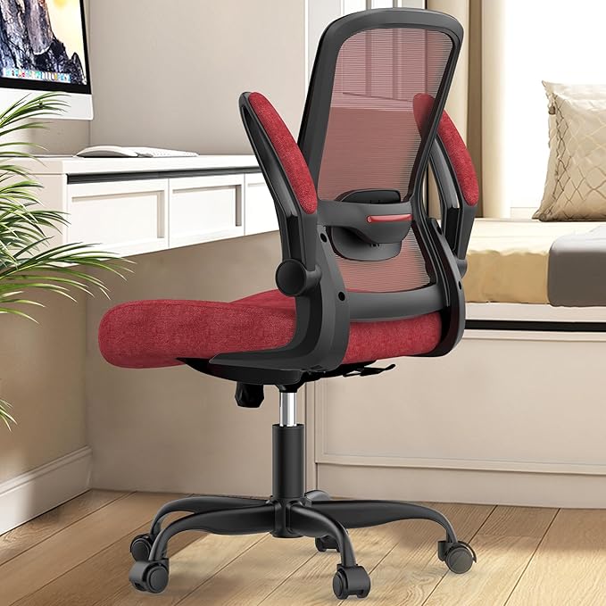 Office Chair, Ergonomic Desk Chair with Adjustable Lumbar Support, High Back Mesh Computer Chair with Flip-up Armrests-BIFMA Passed Task Chairs, Executive Chair for Home Office - LeafyLoom
