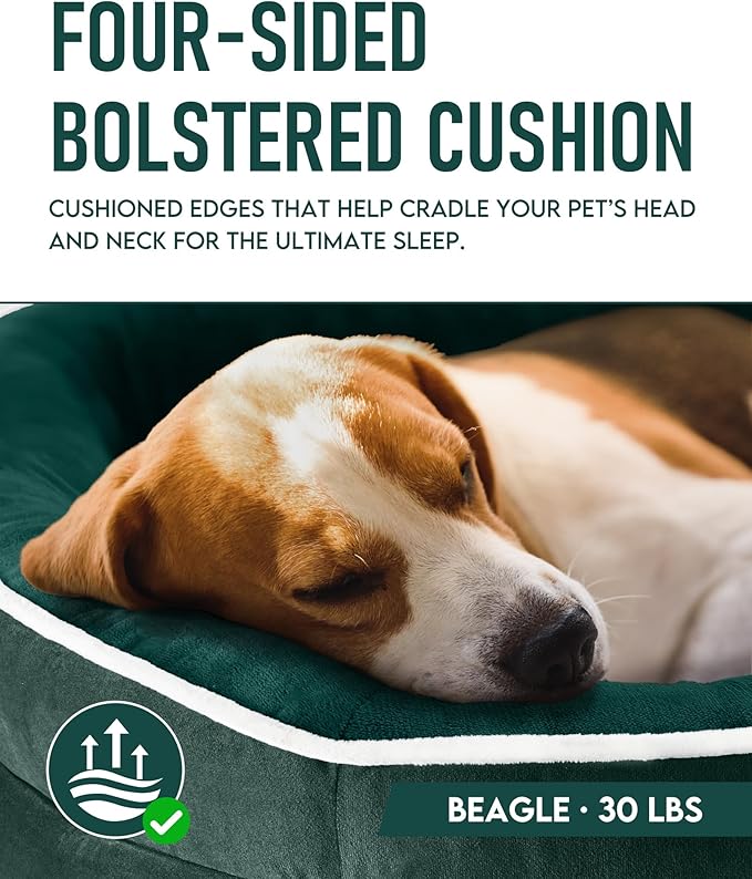 OhGeni Orthopedic Dog Bed Couch for Large Sized Pets with Egg Foam Support, Four-Sided Bolster Cushions, Soft Tear-Resistant Fabric, and Removable Machine Washable Plush Cover 35-Inch (Dark Green) OhGeni