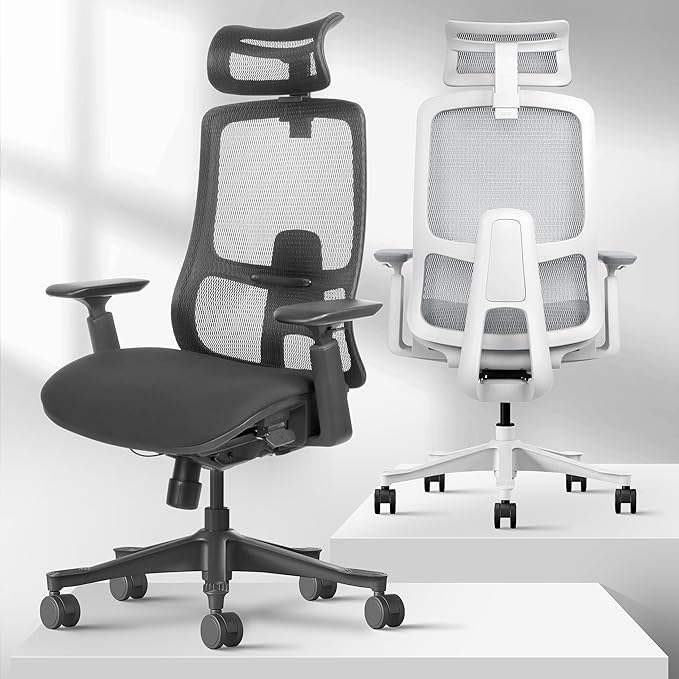 Takumi Ergonomic Office Chair Lumbar Support: Ergonomic Chair, Mesh Office Chair, Ergonomic Desk Chair, Best Desk Chair for Long Hours, Mesh Office Chair for Heavy People - Premium Cushion - LeafyLoom
