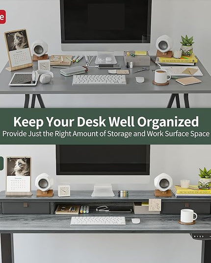 FEZIBO 60 x 24 Inch Height Adjustable Electric Standing Desk with Double Drawer, Stand Up Desk with Storage Shelf, Sit Stand Desk, Grey - LeafyLoom