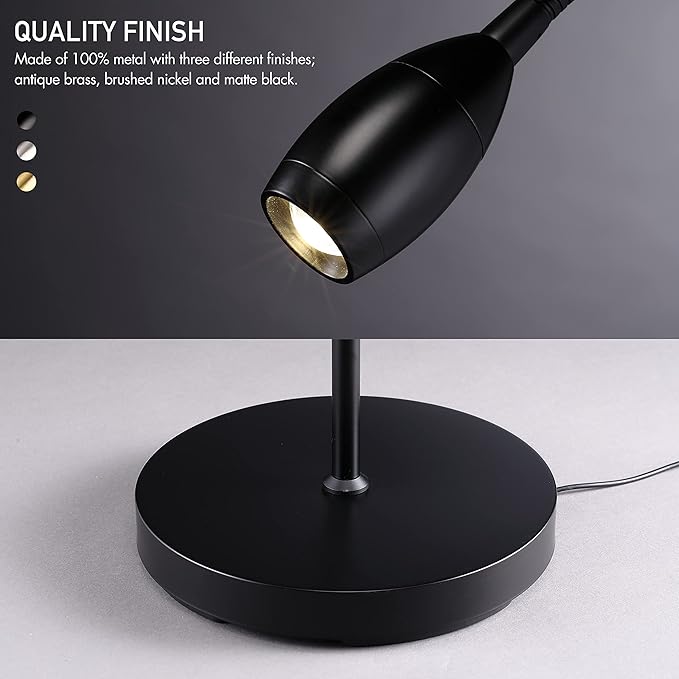 O’Bright Ray – Adjustable LED Beam Floor Lamp, Dimmable and Zoomable Spotlight, Flexible Gooseneck, Reading/Crafting Standing Lamp, Work Table Light, Matte Black - LeafyLoom