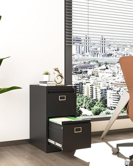 2 Drawer File Cabinet,Metal Vertical File Cabinets with Lock for Home Office,Heavy Duty Office Steel Filing Cabinet for Hanging Letters/Legal/A4, Assembly Required (Black) - LeafyLoom