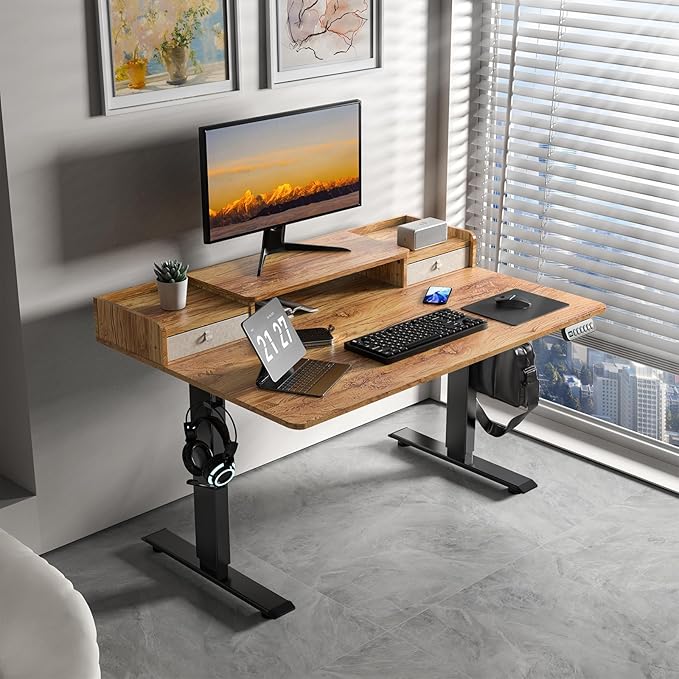48×30 Inch Electric Standing Desk with 2 Drawers, Adjustable Height Widened Stand Up Desk with Storage Shelf, Sit to Stand Ergonomic Workstation for Home Office - LeafyLoom