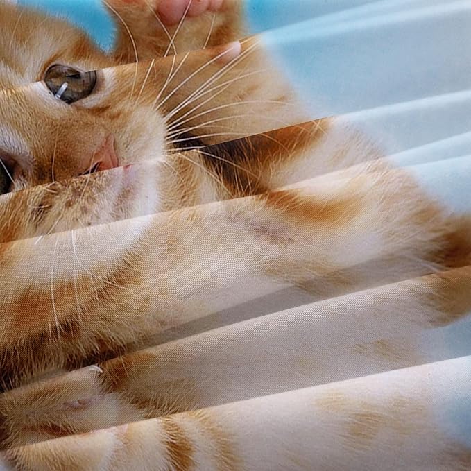 Cat Comforter Set Queen Size for Kids Blue Cat 3Pcs Bedding Set for boys and Girls (1Summer Comforter+ 2 Pillowcases) Lovely Animal Pets Duvet Set - LeafyLoom