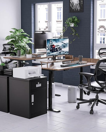 File Cabinet with Lock, Under Desk Locking Cabinet,Filing Cabinet for Home Office,Metal Filing Cabinet,Printer Stand Cabinet (Black) - LeafyLoom
