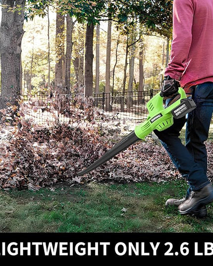Cordless Leaf Blower, 150MPH Handheld Electric Leaf Blower with 2 x4.0Ah Battery and Charger, 2 Speed Modes, 20V Lightweight Battery Operated Leaf Blowers for Lawn Care, Patio, Blowing Leaves and Snow - LeafyLoom