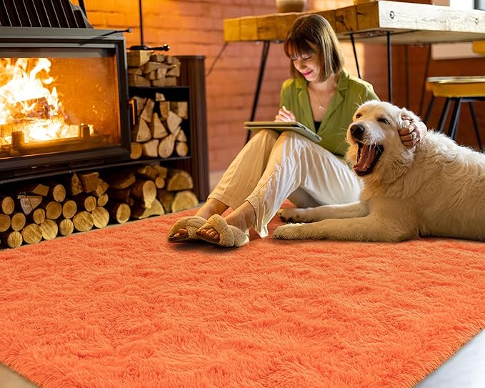 Softlife Area Rug for Bedroom, 4x6 Feet Plush Fluffy Rug for Living Room, Orange Shag Rug for Aesthetic Room Decor, Ultra Soft Modern Fuzzy Faux Fur Carpet for Kids Nursery Room Dorm - LeafyLoom