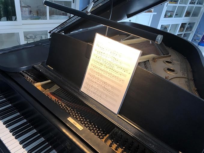 Cocoweb 19" LED Grand Piano Light in Black with Satin Nickel Accents with Dimmer Clip - LeafyLoom