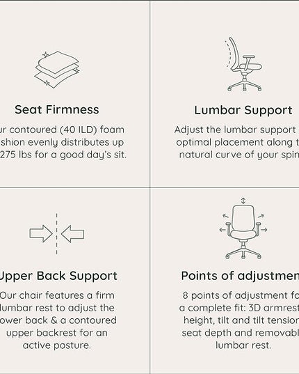 Branch Ergonomic Chair - A Versatile Desk Chair with Adjustable Lumbar Support, Breathable Mesh Backrest, and Smooth Wheels - Experience Optimal Comfort and Support - Graphite - White - LeafyLoom