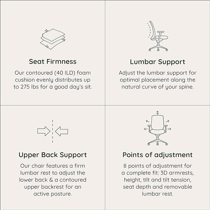 Branch Ergonomic Chair - A Versatile Desk Chair with Adjustable Lumbar Support, Breathable Mesh Backrest, and Smooth Wheels - Experience Optimal Comfort and Support - Graphite - White - LeafyLoom