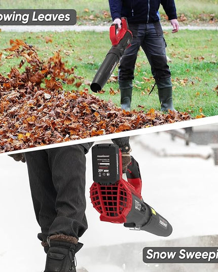 PowerSmart 20V Cordless Leaf Blower with 2 Batteries and Charger, Blowers for Lawn Care, Snow Blowing & Yard Cleaning - LeafyLoom