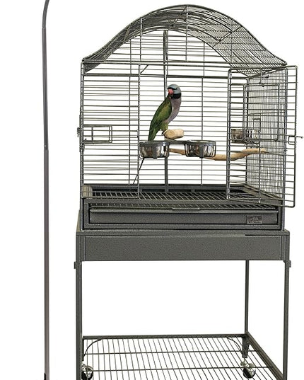 Zoo Med AvianSun Deluxe Floor Lamp(bulb not included) - LeafyLoom