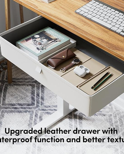 BANTI Electric Standing Desk with Drawer, Adjustable Height Sit Stand Up Desk, Home Office Desk Computer Workstation, 48x24 Inches, Ligh Vintage Brown - LeafyLoom