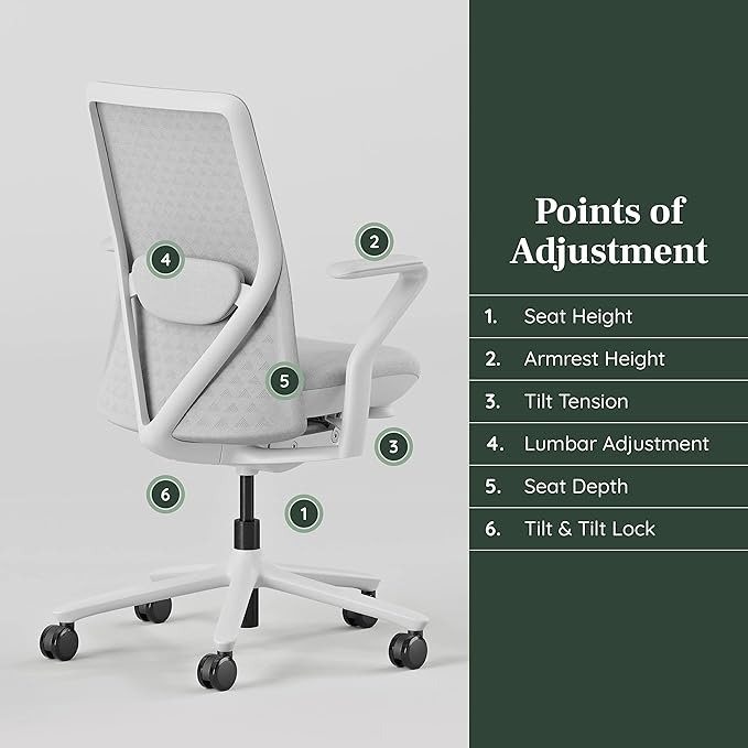 Branch Verve Chair - High Performance Executive Office Chair with Contoured Seat Back and Adjustable Lumbar Rest - High Density Foam Cushion with Aluminum Base - Up to 275 lbs - Mist - LeafyLoom