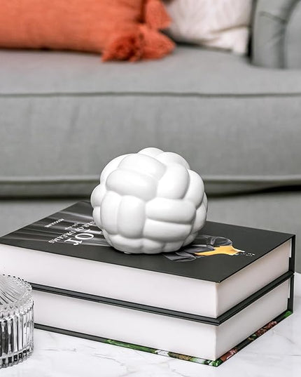 Knot Decor, Bookshelf Decor, Coffee Table Books Decor, Shelf Decor Accents, Modern Decor for Decorative Books, Minimalist Bookshelf Decor, Infinity Sculpture Sphere (4X3inc) - LeafyLoom