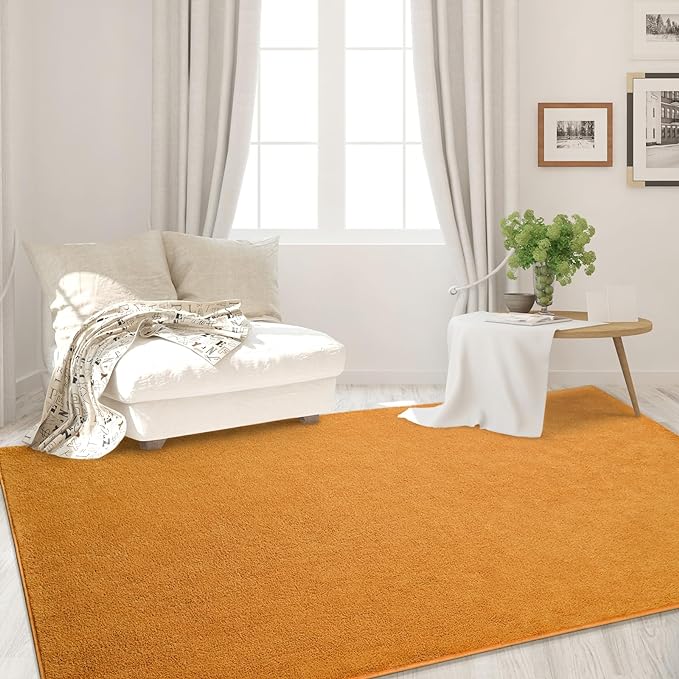 Area Rugs for Bedroom Living Room, 5x8 Orange Super Soft Comfy Thickened Memory-Foam Indoor Carpets, Modern Aesthetic Minimalist Carpet for Boys Girls Adults Apartment Nursery Home Décor - LeafyLoom