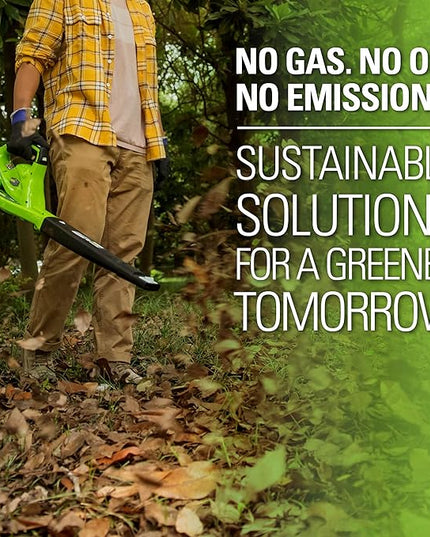 Greenworks 40V Leaf Blower/Sweeper, 150 MPH, Lightweight, Quiet, with 2.0 Ah Battery and Charger - LeafyLoom