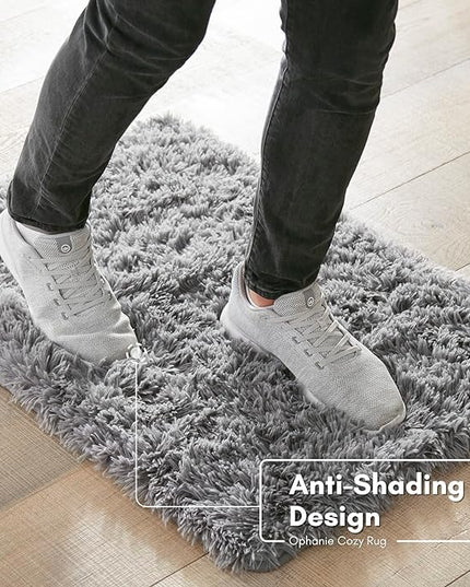 Ophanie Small Area Rug, 2x3 Machine Washable Throw Grey Cheap Fluffy Shaggy Soft Bedside Rug, Indoor Floor Gray Carpet for Kids Baby Boys Teen Dorm Room Doorway, Nursery,Home Decor Aesthetic - LeafyLoom