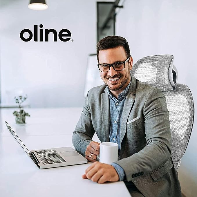 Oline ErgoPro Ergonomic Office Chair - Rolling Desk Chair with 4D Adjustable Armrest, 3D Lumbar Support and Blade Wheels - Mesh Computer Chair, Gaming Chairs, Executive Swivel Chair (Light Gray) - LeafyLoom