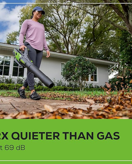 Greenworks 60V 610 CFM Cordless Leaf Blower, 2.5 Ah Battery and Rapid Charger - LeafyLoom