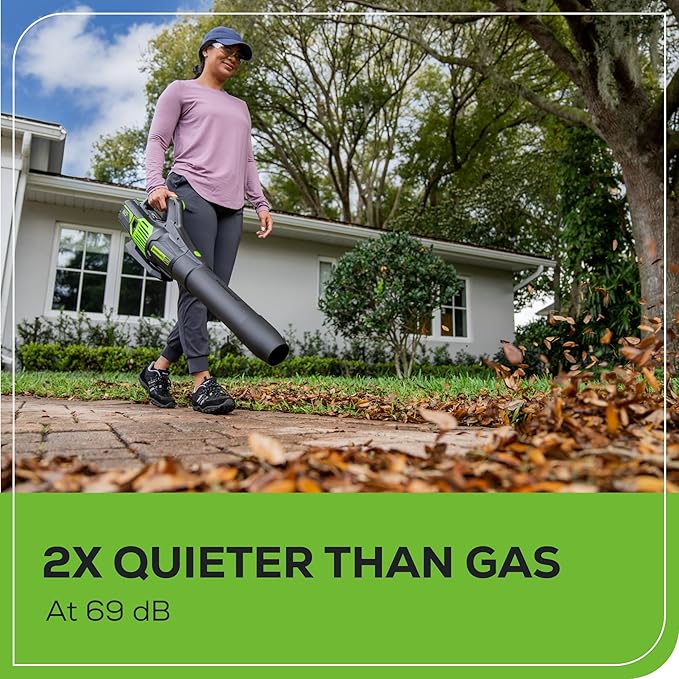 Greenworks 60V 610 CFM Cordless Leaf Blower, 2.5 Ah Battery and Rapid Charger - LeafyLoom