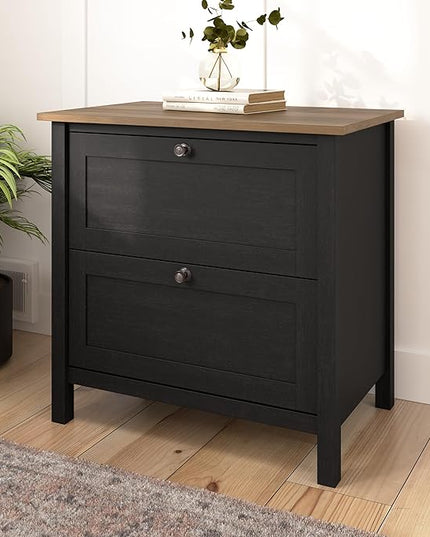 Bush Furniture Mayfield 2 Drawer Lateral File Cabinet in Vintage Black and Reclaimed Pine | Storage for Home Office Workspace - LeafyLoom