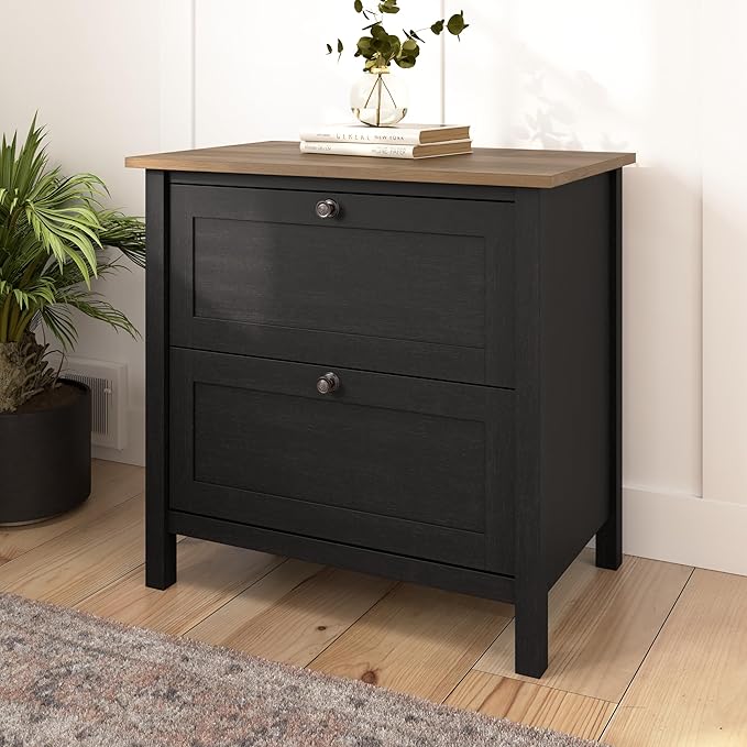 Bush Furniture Mayfield 2 Drawer Lateral File Cabinet in Vintage Black and Reclaimed Pine | Storage for Home Office Workspace - LeafyLoom