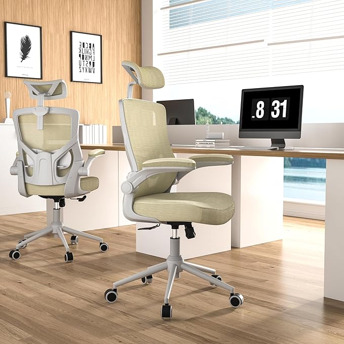 𝑯𝑶𝑴𝑬 𝑶𝑭𝑭𝑰𝑪𝑬 𝑪𝑯𝑨𝑰𝑹, Ergonomic Mesh Desk Chair, High Back Computer Chair- Adjustable Headrest with Flip-Up Arms, Lumbar Support, Swivel Executive Task Chair (Modern, Beige) - LeafyLoom